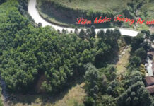 Video: Tương tư nàng ca sĩ