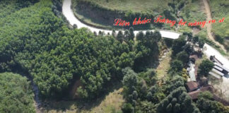 Video: Tương tư nàng ca sĩ