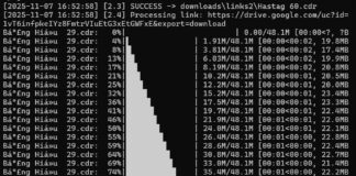 GDRIVE DIR DOWNLOADER – Tải hàng loạt file Google Drive công khai theo danh sách link trong thư mục GDRIVE_DIR_DOWNLOADER.PY - Tải hàng loạt file Google Drive công khai theo danh sách link trong thư mục.